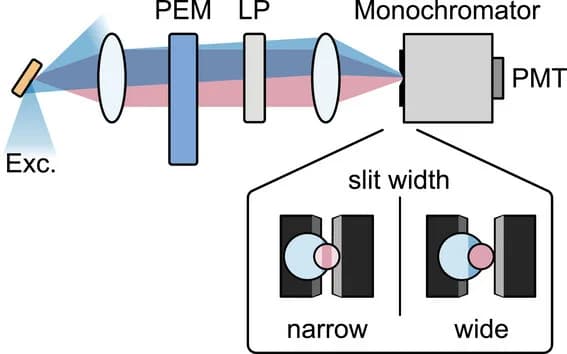 Open access visualization of Illustration, Workflow, Flowchart, Excitation Light, Slit-Dependent Artifacts