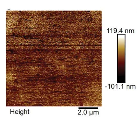 Open access visualization of Microscopy, AFM, COF surface