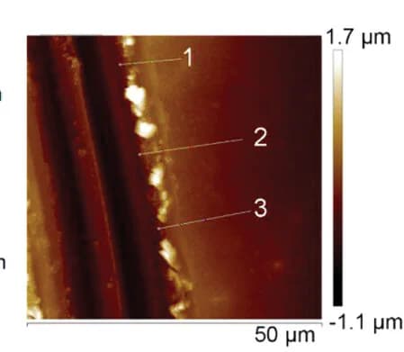 Open access visualization of Microscopy, AFM, COF coating, Height analysis