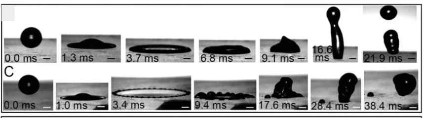 Open access visualization of Photo, Drop Impact, Time-Lapse, Impact Velocity