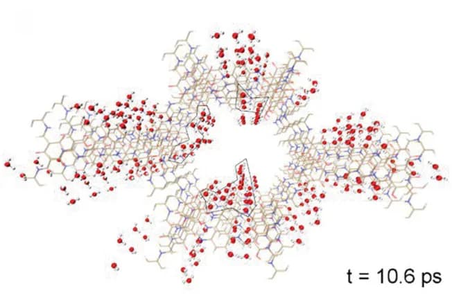 Open access visualization of Chemical Structure, Water Molecules, Hydrophilic Functional Groups, COF Pore