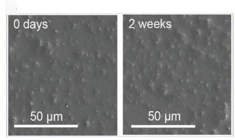Open access visualization of Microscopy, COF-coated Glass, CaCl2, NaHCO3, Supersaturated Solution