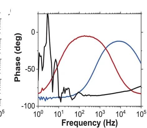 Open access visualization of Line Plot, Phase, Frequency, Electrode