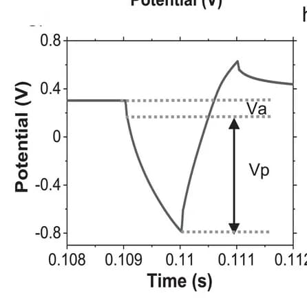 Open access visualization of Line Plot, Voltage transient, Electrode, Access potential, Polarization potential