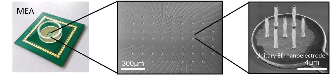 Open access visualization of Microscopy, NEA Device, SEM Images, Electrodes