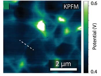 Open access visualization of Microscopy, KPFM Map, Grain Boundary, Topography, Surface Potential