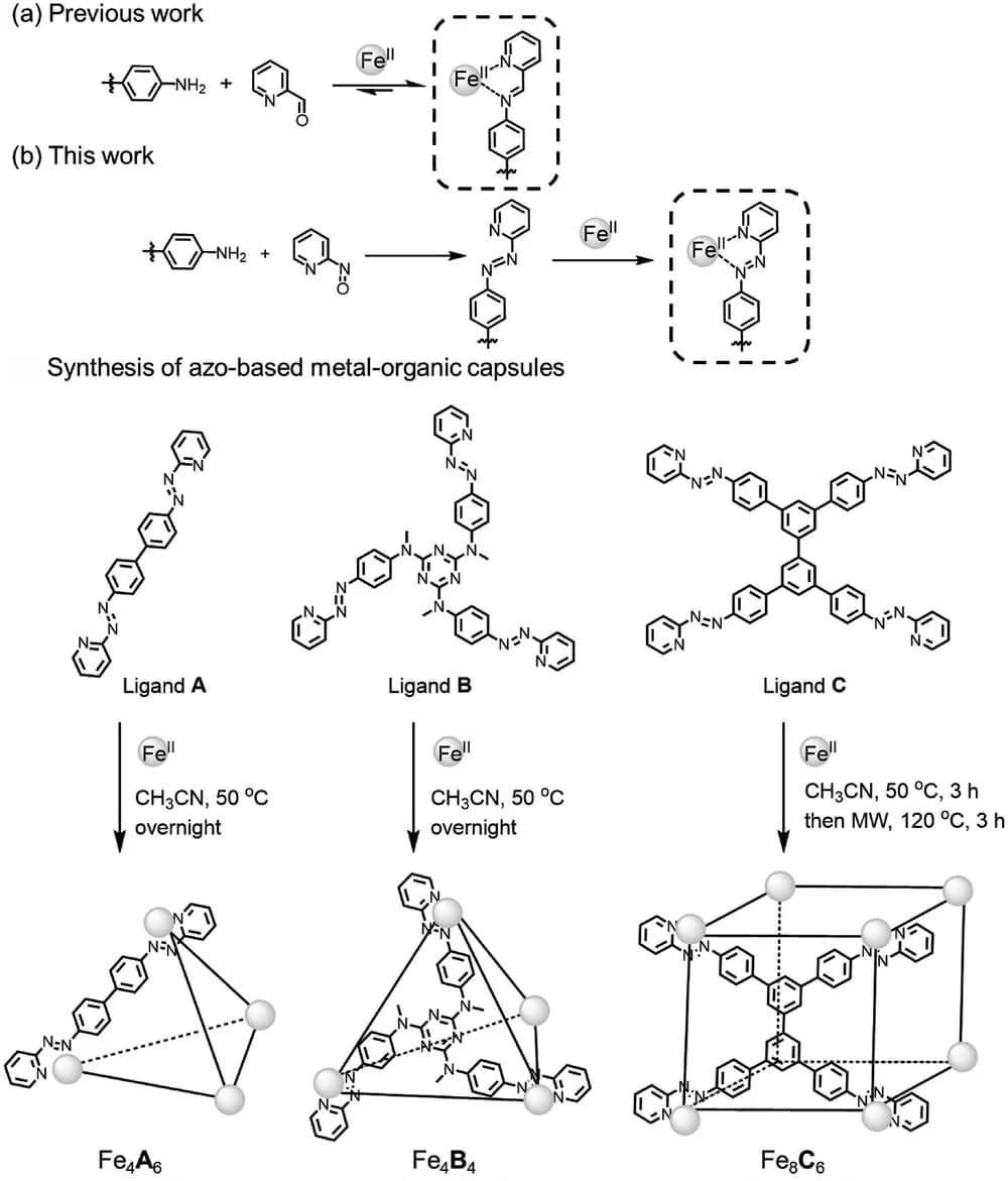 Open access visualization of Chemical Structure, Workflow, Synthesis, Azopyridine, Metal-Organic Capsules