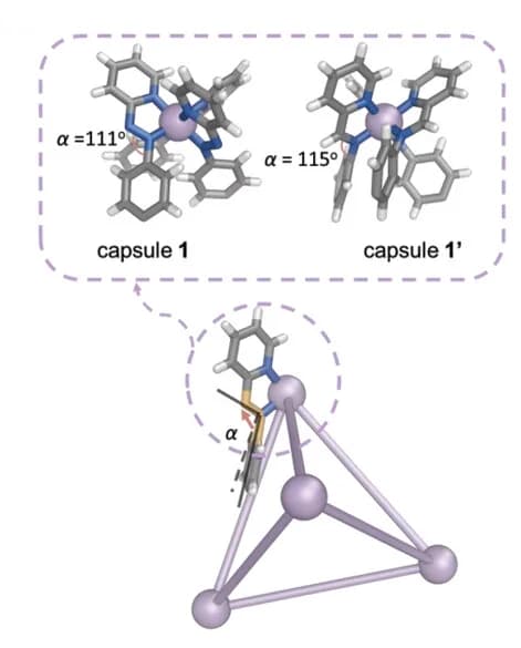 Open access visualization of Chemical Structure, Azopyridine Capsule, Iminopyridine Congener, Nitrogen, Phenylene Edges