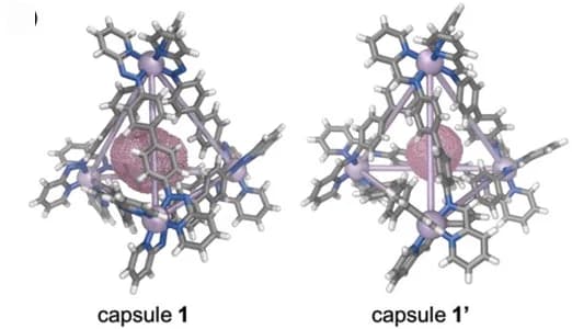 Open access visualization of Chemical Structure, Azopyridine Capsule, Iminopyridine Congener, Cavity Volume