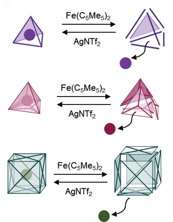 Open access visualization of Chemical Structure, Workflow, Redox, Metal-organic capsules, Guest release