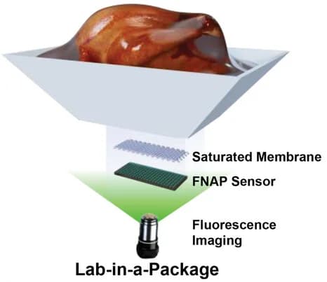 Open access visualization of Workflow, Illustration, Lab-in-a-Package, In Situ Detection, Inclined Packaging Tray