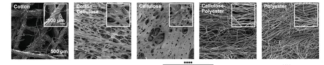 Open access visualization of Microscopy, SEM Images, Candidate Membranes, Magnification