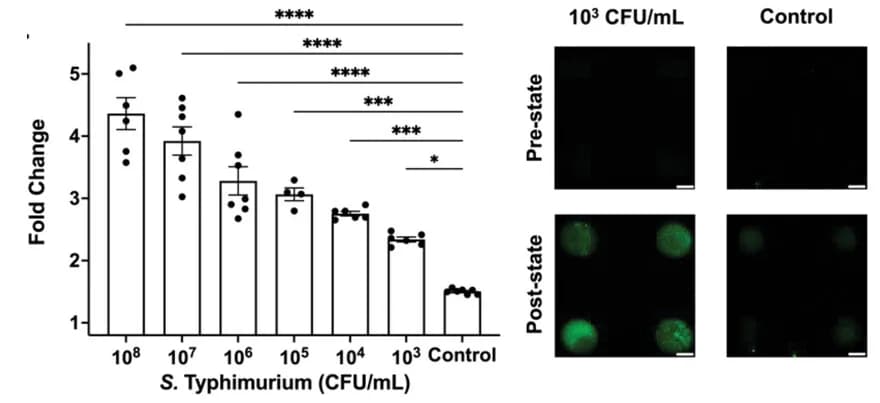 Open access visualization of Bar Plot, Error Bars, Microscopy, Sensitivity Testing, Nucleic Acid Probe
