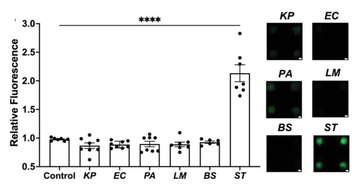 Open access visualization of Bar Plot, Error Bars, Microscopy, Specificity Testing, Nucleic Acid Probe