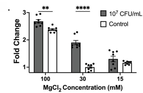 Open access visualization of Bar Plot, Error Bars, Clustered, MgCl2, Membrane Absorption