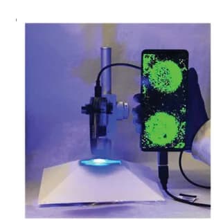 Open access visualization of Microscopy, Photo, Optical Image, Fluorescence Scanner, Smartphone