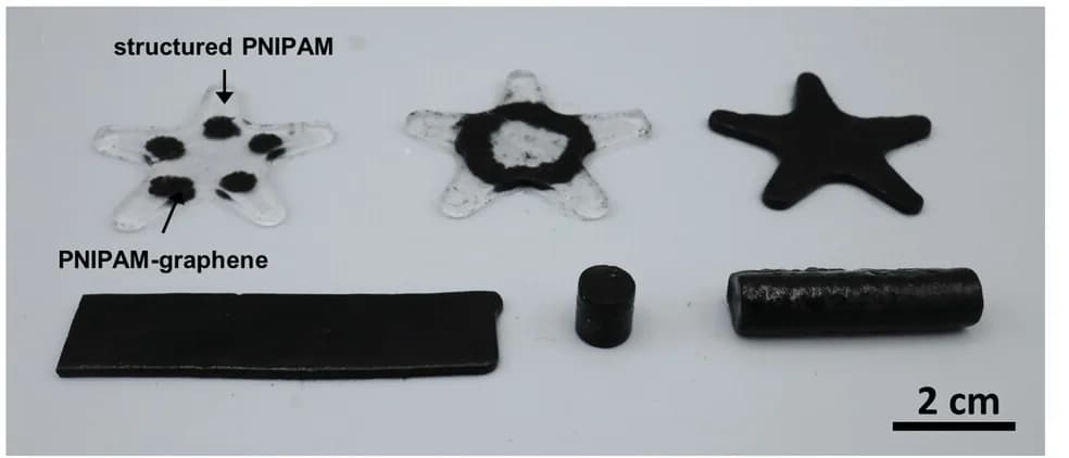 Open access visualization of Photo, Hydrogel, Graphene