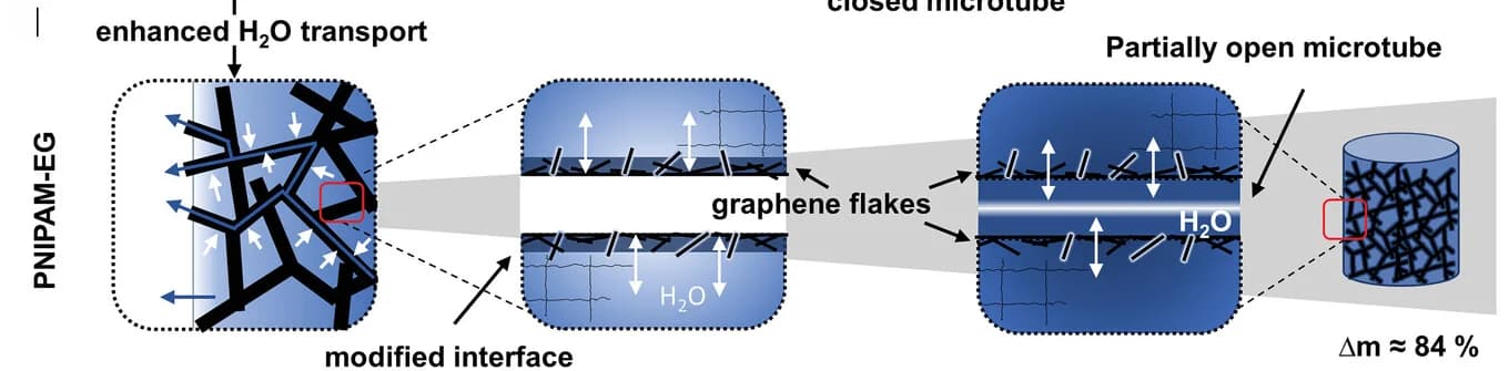 Open access visualization of Illustration, Workflow, Microtubes, Graphene, Hydrogel-Water Interface