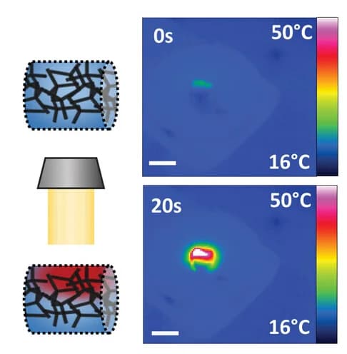 Open access visualization of Heatmap, Schematic representation, Thermograms, Photothermal heating, PNIPAM-EG