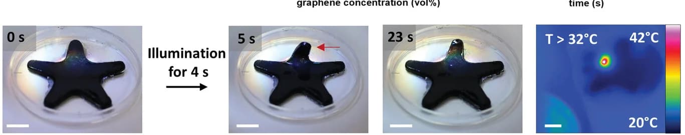 Open access visualization of Photo, Microscopy, Photographs, Thermogram, Star-shaped PNIPAM-EG hydrogel