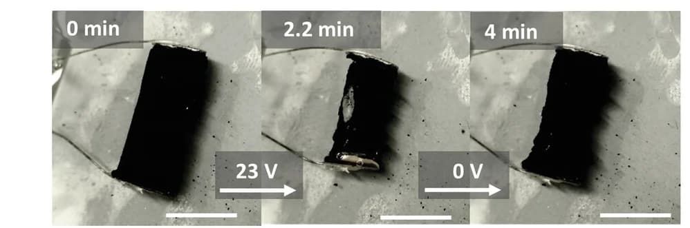 Open access visualization of Photo, Photographs, PNIPAM-EG Hydrogel, Electrically Heated, Water