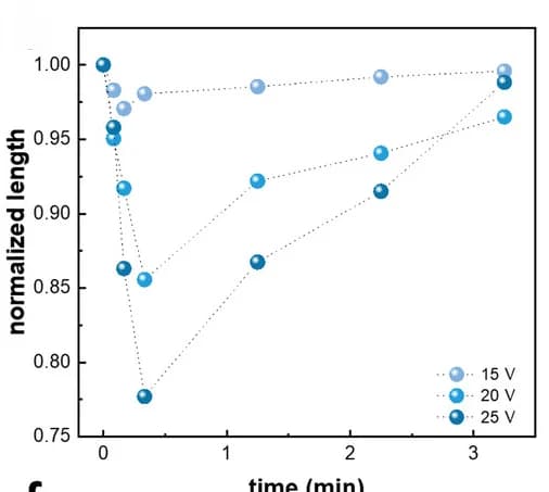 Open access visualization of Line Plot, Scatter Plot, Normalized Length, Time, Applied Voltages