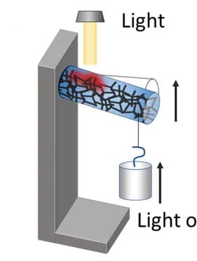Open access visualization of Illustration, Light-Controlled Beam Actuator, Schematic