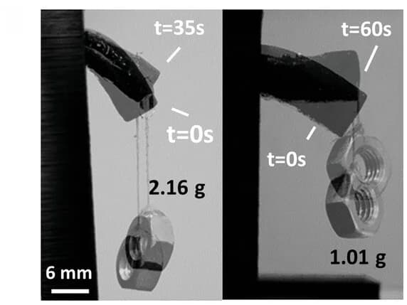 Open access visualization of Photo, Photographs, Beam Actuator, Weights