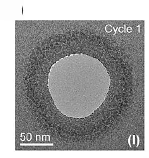 Open access visualization of Microscopy, TEM, Pore, Growth cycles