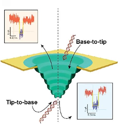 Open access visualization of Illustration, Line Plot, DNA Translocation, Nanopore, Current Traces