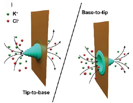 Open access visualization of Illustration, 3D Reconstruction, Nanopore, Ionic Current