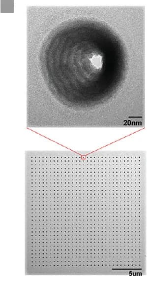 Open access visualization of Microscopy, TEM Image, Nanopores, SiN Membrane