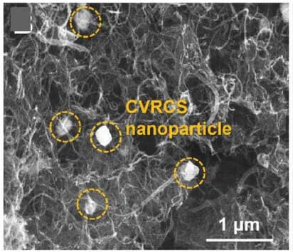 Open access visualization of Microscopy, SEM Image