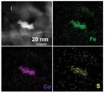 Open access visualization of Microscopy, EDX Elemental Mapping