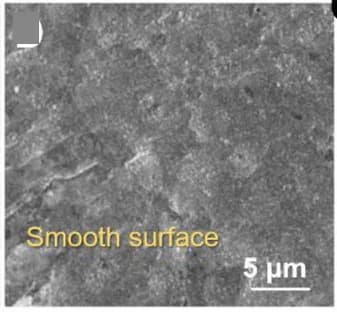 Open access visualization of Microscopy, SEM, SAFe/CVRCS@3DPC-Li Electrode