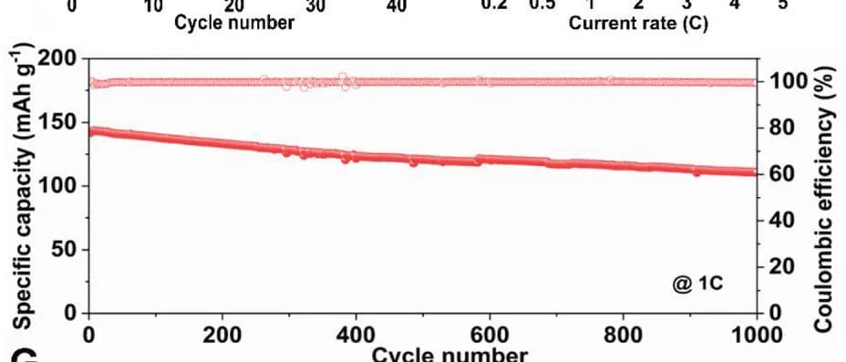 Open access visualization of Line Plot, Cycling performance, SAFe/CVRCS@3DPC-Li || LFP cell