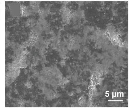 Open access visualization of Microscopy, SEM images, Modified Li, Full battery