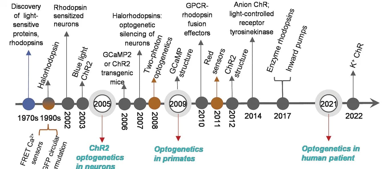 Open access visualization of Line Plot, Line Step, Optogenetics, Optoelectrical Devices, Sensing