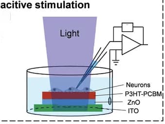 Open access visualization of Illustration, Optocapacitive stimulation, Optocapacitor