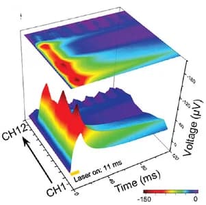 Open access visualization of 3D Plot, ECoG Signal, Blue Laser Stimulation