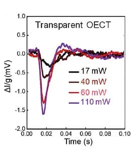 Open access visualization of Line Plot, Electrophysiological Responses, OECTs, Blue Light Stimulation