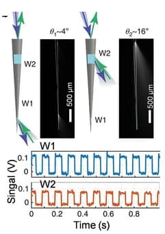 Open access visualization of Line Plot, Fluorescence Signal