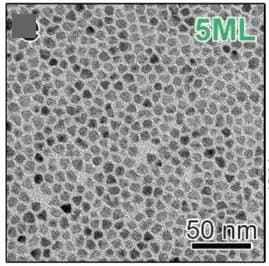 Open access visualization of Microscopy, TEM Images, Core@Shell NCs, ZnSe Shell Thickness