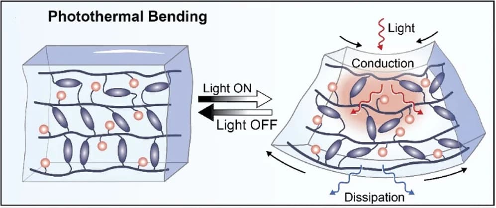 Open access visualization of Illustration, Photothermally Induced Bending, Light Exposure, Photothermal Compounds, Conductive Heating
