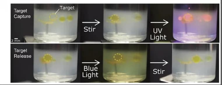 Open access visualization of Photo, LCN, Grippers, UV Light, Visible Light