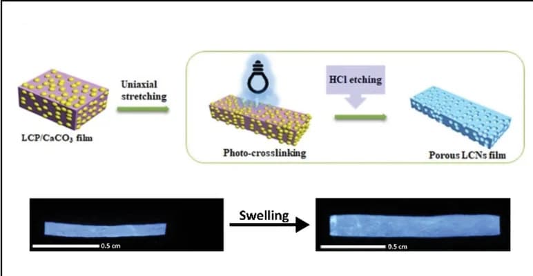 Open access visualization of Workflow, Photo, LCN, Water Diffusion, Swelling
