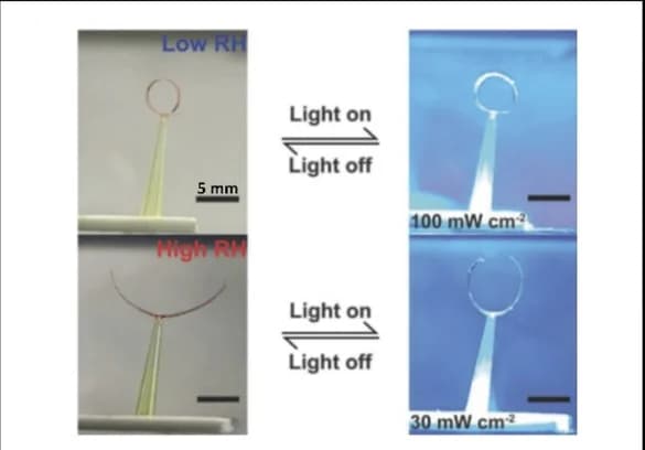 Open access visualization of Photo, Hygroscopicity, Actuation, Humidity, Photothermal Heating