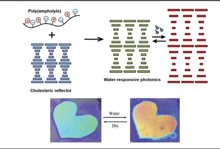 Open access visualization of Workflow, Illustration, Photo, Interpenetrating Networks, Cholesteric LCNs
