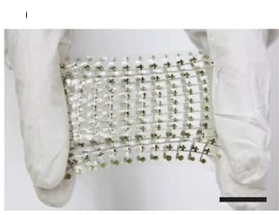 Open access visualization of Photo, Stretchable Conductors, Organic Thin-Film-Transistor, Active Matrix