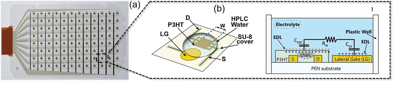 Open access visualization of Illustration, Workflow, EGOFET, Equivalent Circuit